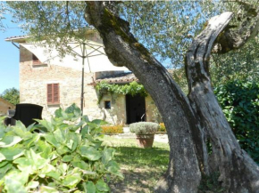 Castigliona Cetona Siena Cortona